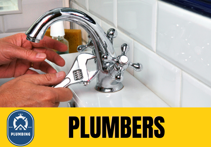  plumber Ashfield